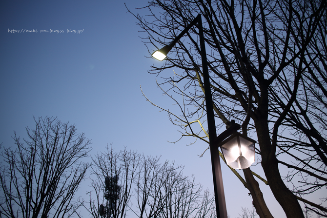 IMG_7501.png