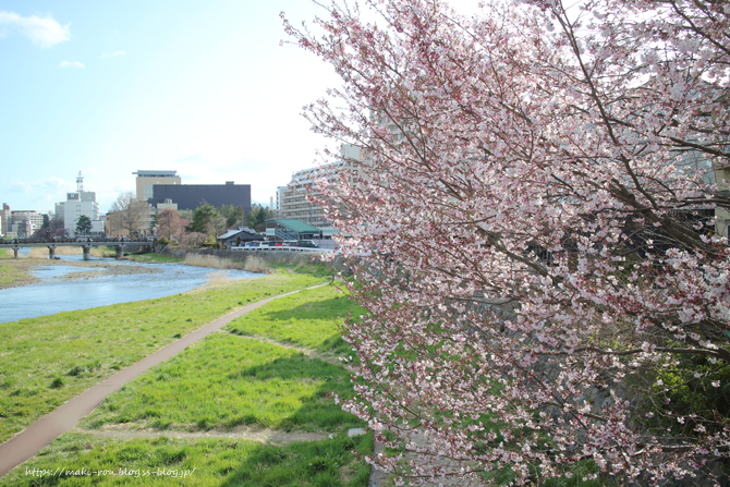 IMG_7526.png