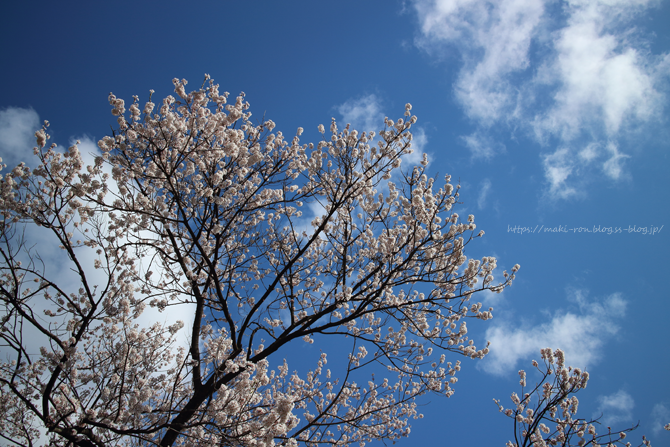 IMG_7548.png