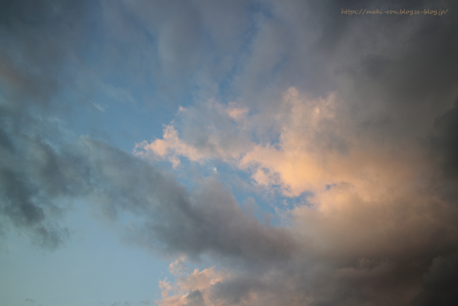 IMG_7557.png