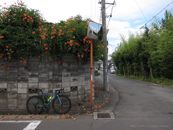 IMG_7606.png