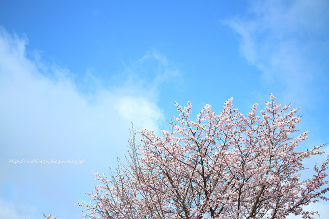IMG_7608.png