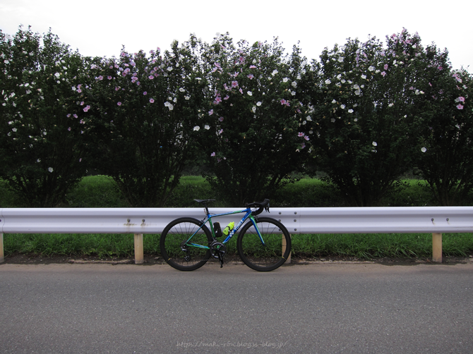 IMG_7626.png