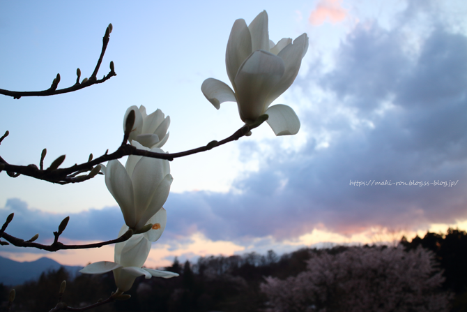 IMG_7629.png