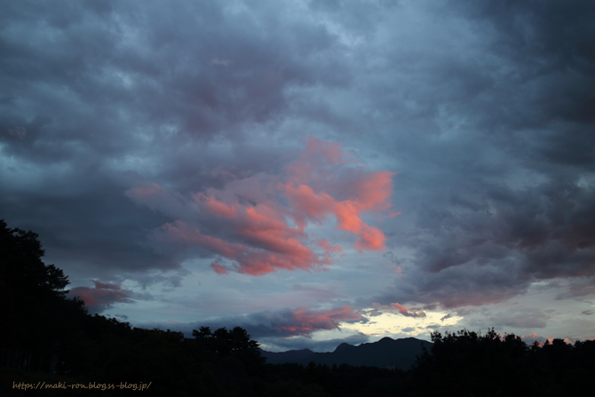IMG_7653.png