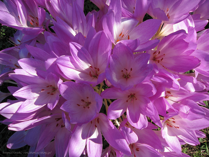 IMG_7687.png