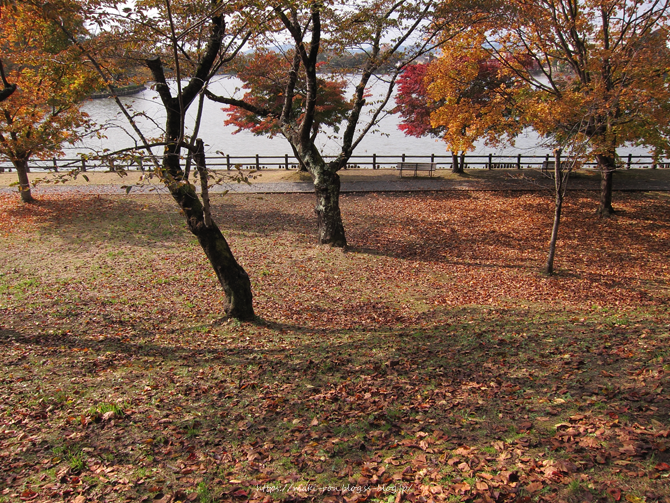 IMG_7779.png
