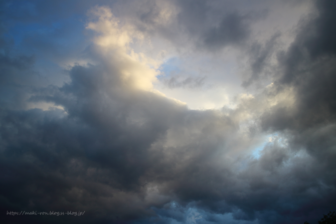 IMG_7821.png