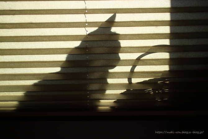 IMG_7826.png