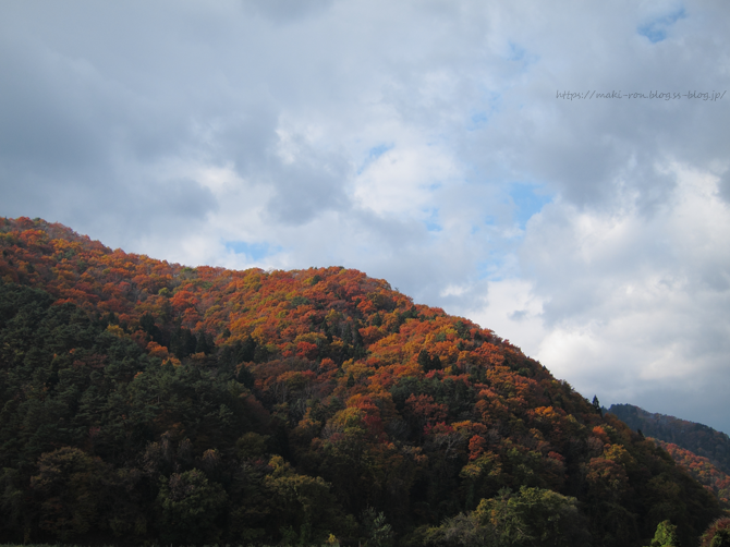 IMG_7846.png