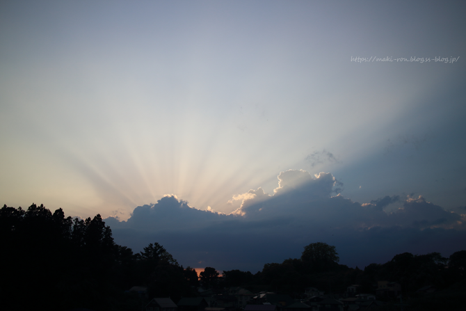 IMG_7865.png