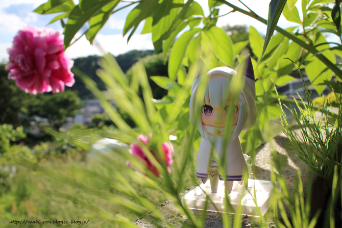 IMG_7883.png