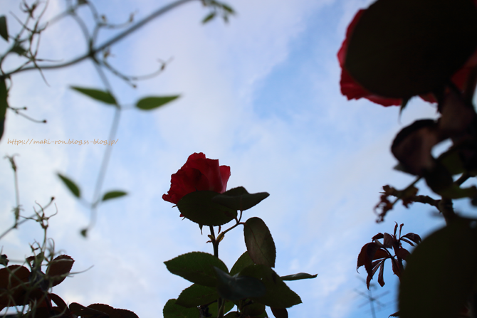 IMG_7888.png
