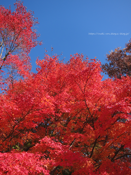 IMG_7896.png