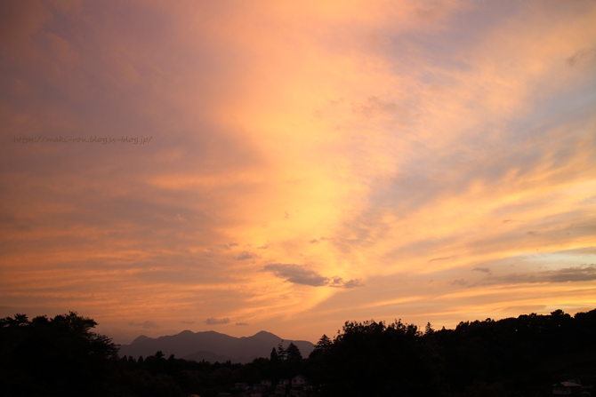 IMG_7904.png