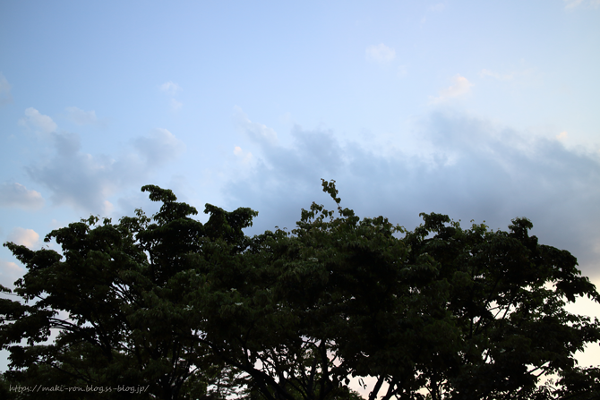 IMG_7924.png