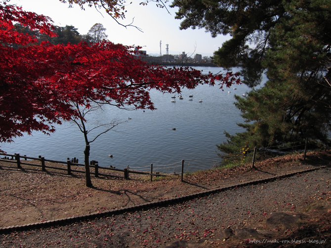 IMG_7962.png
