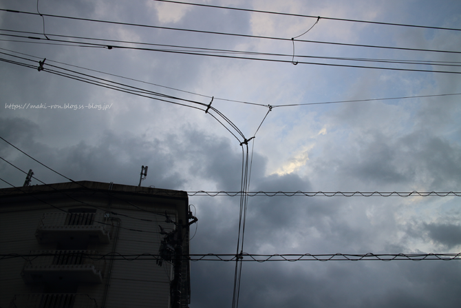 IMG_7968.png