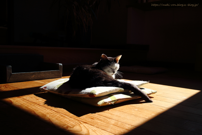 IMG_7987.png