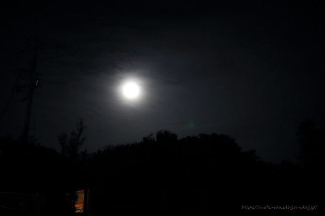 IMG_8000.png