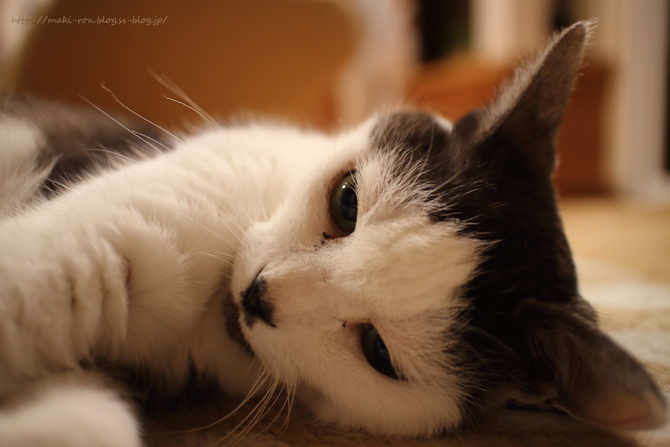 IMG_8009.png