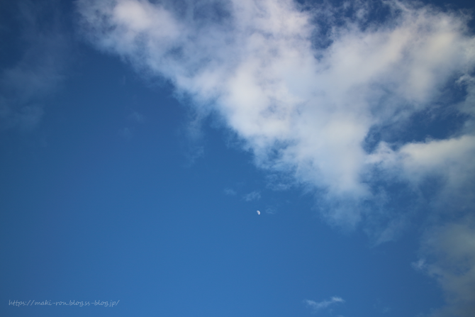 IMG_8027.png