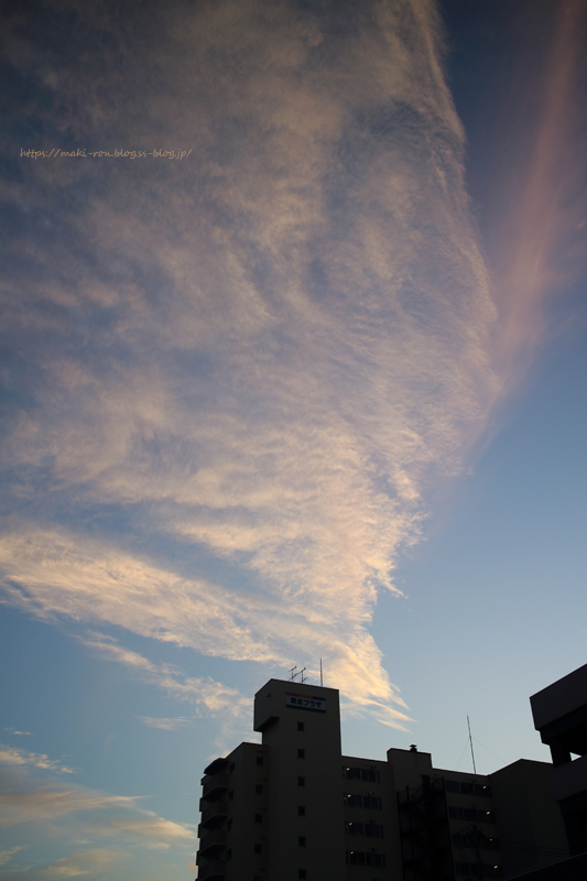 IMG_8060.png