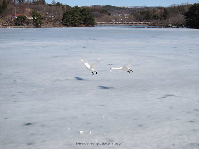 IMG_8106.png