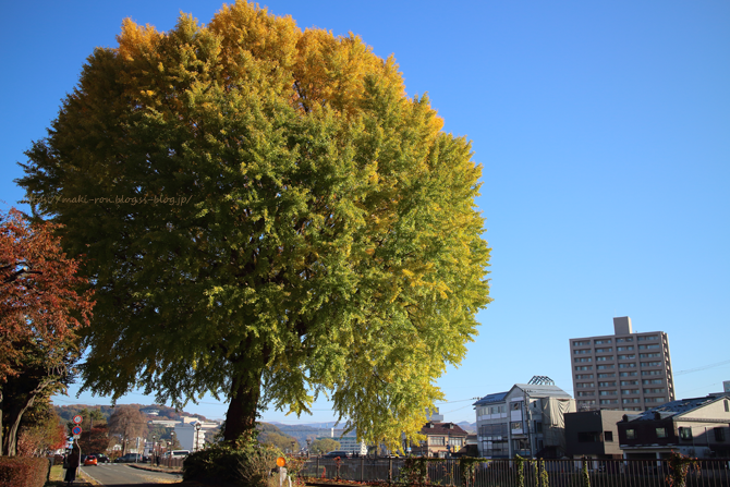 IMG_8125.png