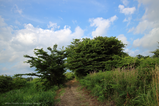 IMG_8147.png