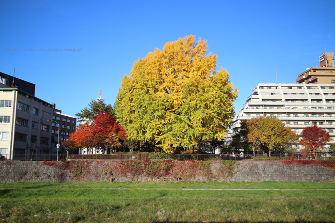IMG_8151.png