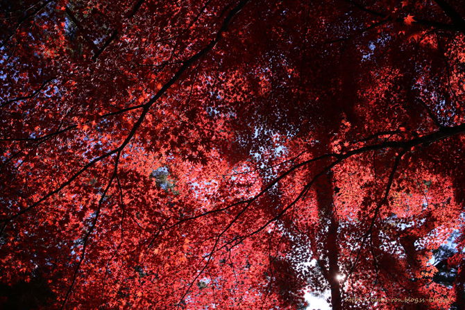 IMG_8162.png