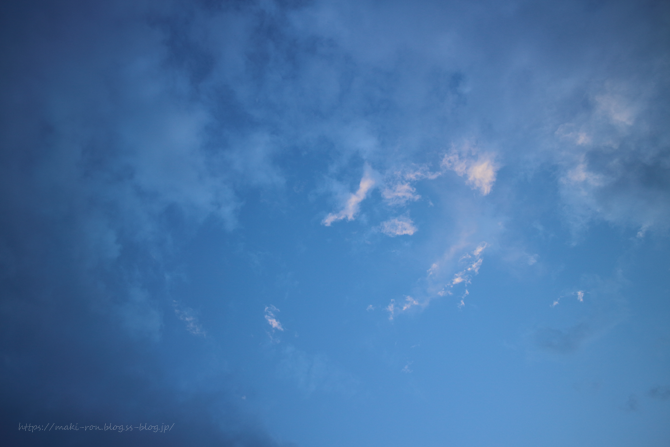IMG_8239.png