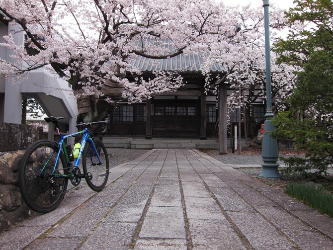 IMG_8247.png