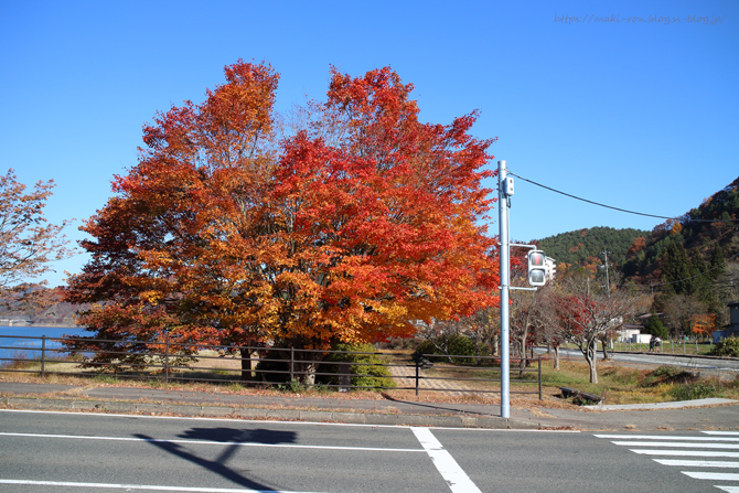 IMG_8260.png