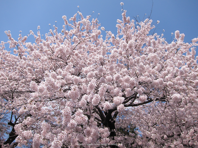 IMG_8279.png