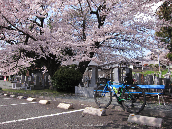 IMG_8281.png