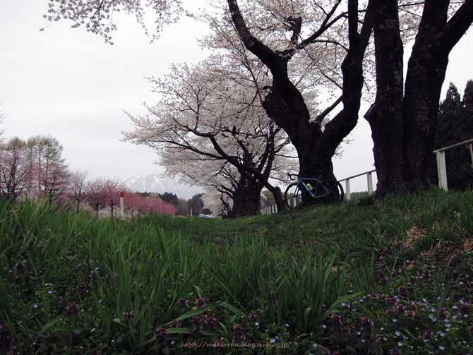 IMG_8296.png