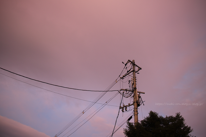 IMG_8304.png