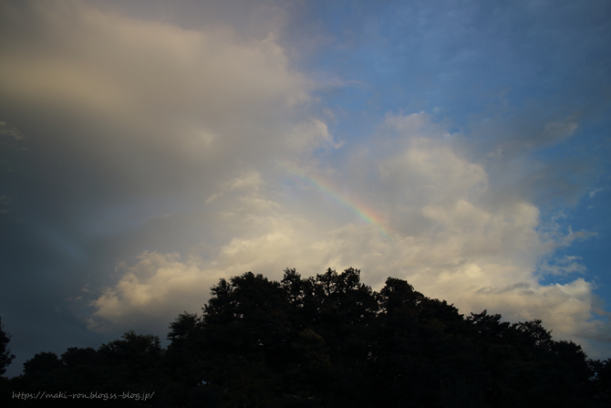IMG_8318.png