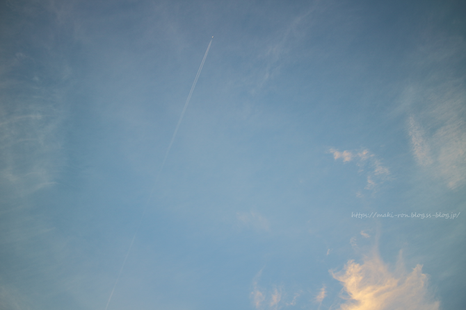 IMG_8370.png
