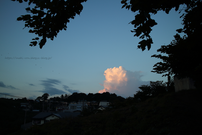 IMG_8424.png