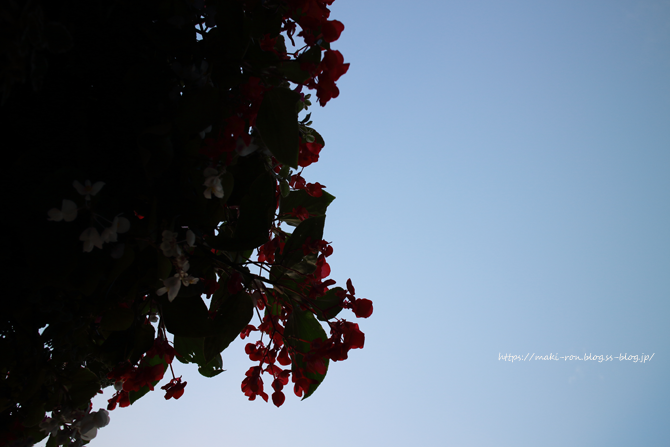 IMG_8450.png