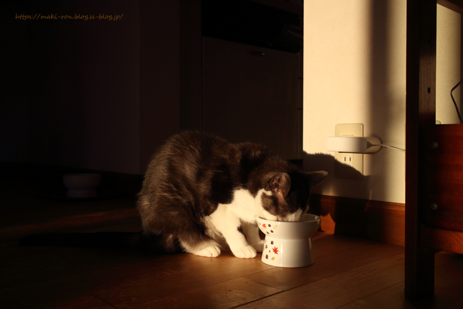 IMG_8472.png