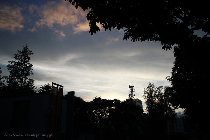IMG_8516.png