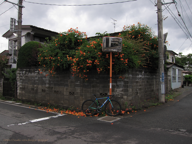 IMG_8563.png