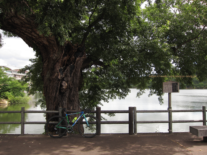 IMG_8616.png