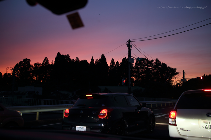 IMG_8742.png