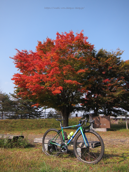 IMG_8788.png