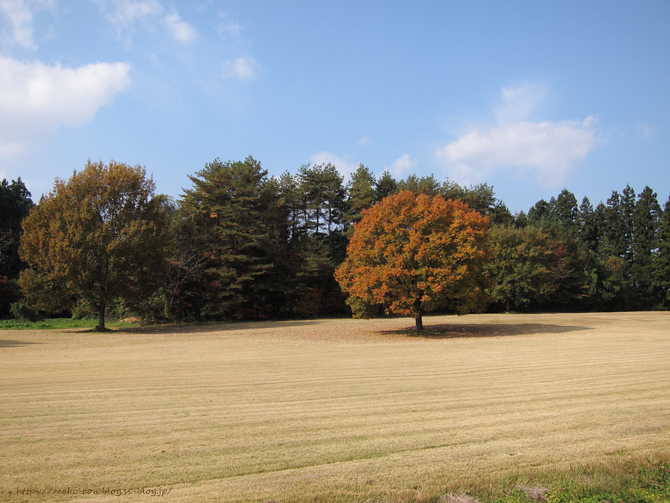 IMG_8795.png